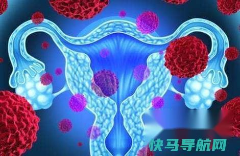 如何增强免疫力消除HPV 第4张
